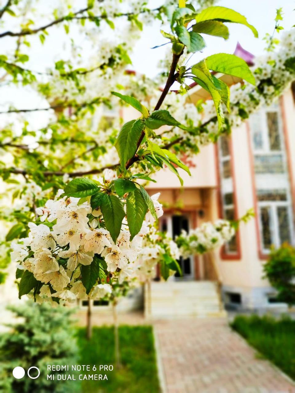 Rakat Inn Navigator Tashkent Esterno foto
