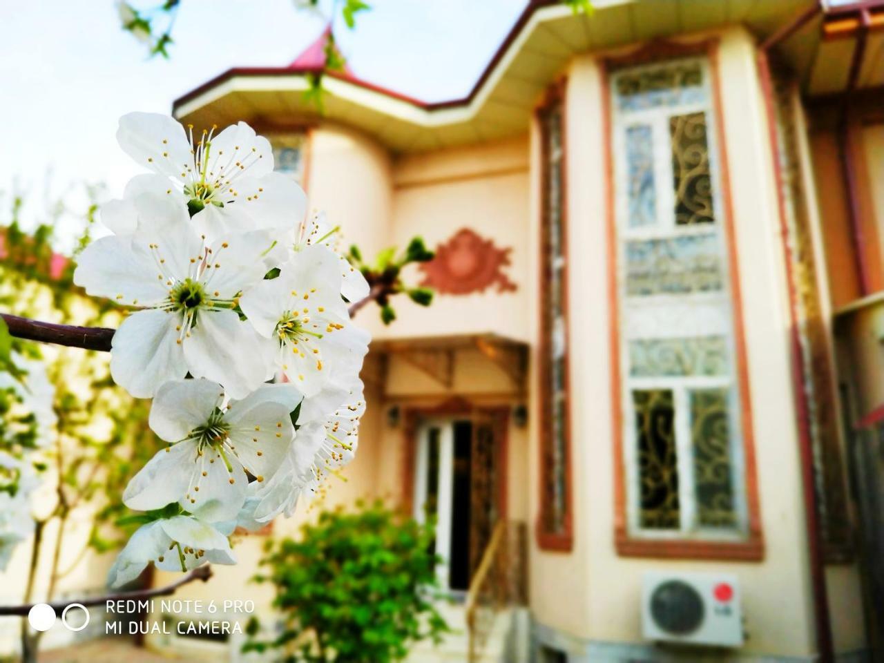 Rakat Inn Navigator Tashkent Esterno foto